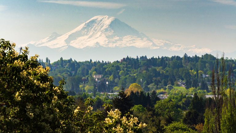 Duwamish Hill Preserve